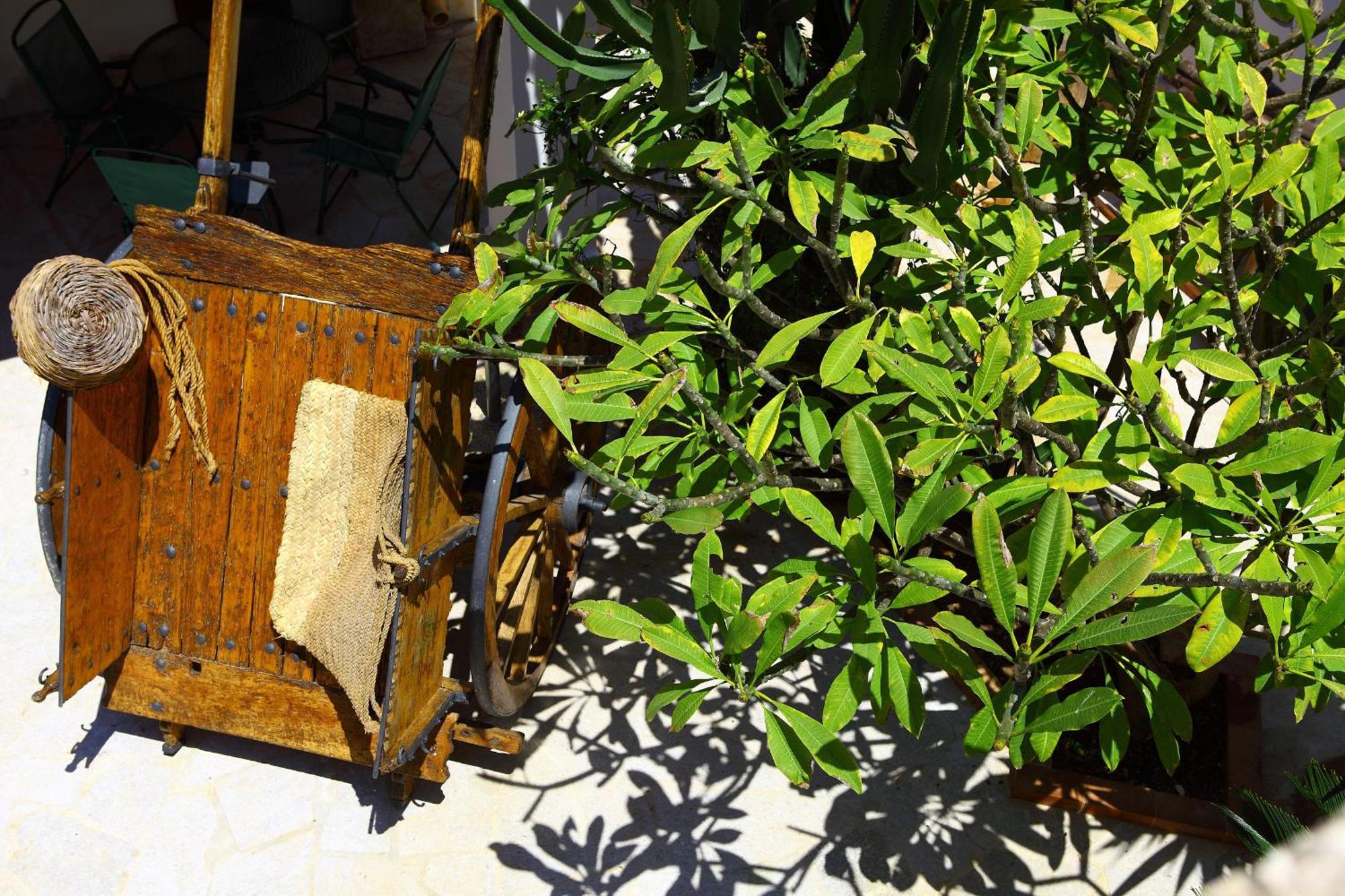 B&B Sabir San Vito Lo Capo Exteriör bild